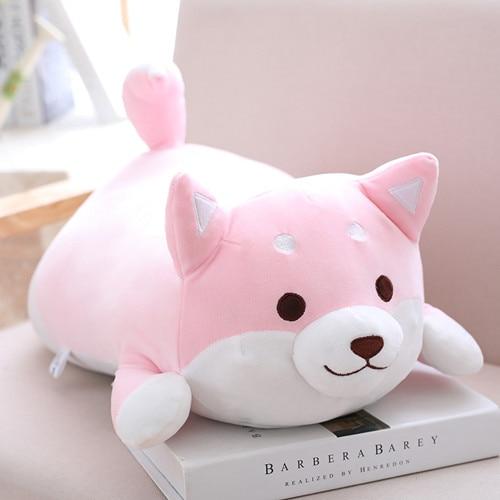 Chubby Shiba Inu - Image 4