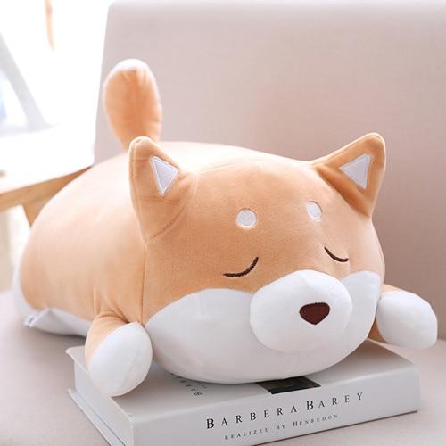 Chubby Shiba Inu - Image 5