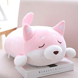 Chubby Shiba Inu - Image 9