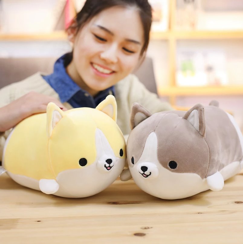 Corgi Cuddle Buddies - Image 5