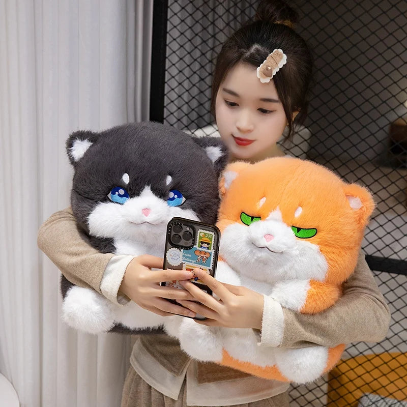 Cute Chubby Gray Ginger Cat Plushies - Image 9