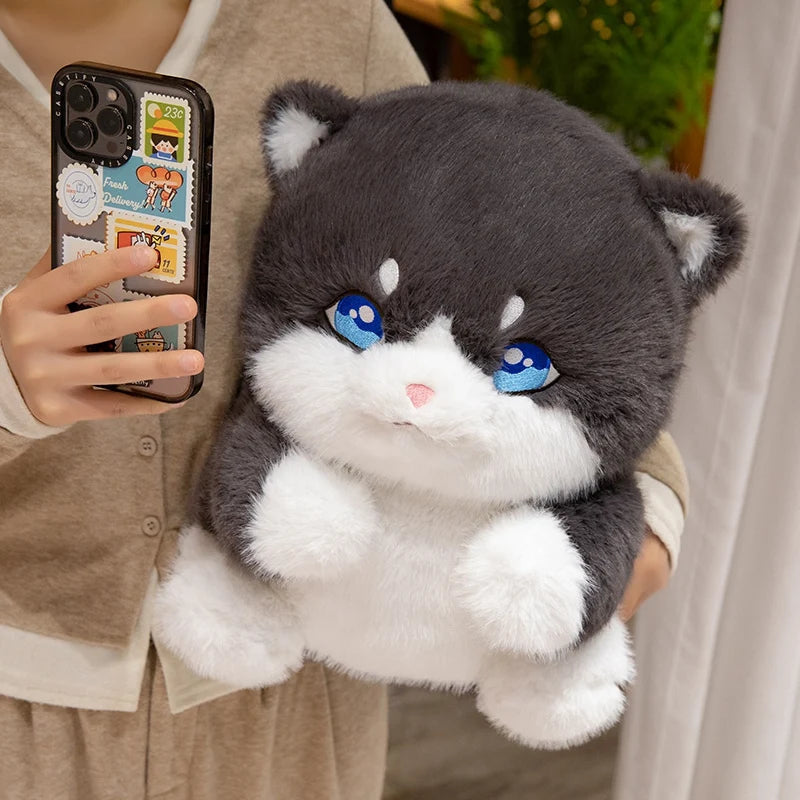 Cute Chubby Gray Ginger Cat Plushies - Image 16