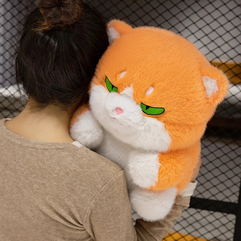 Cute Chubby Gray Ginger Cat Plushies - Image 14