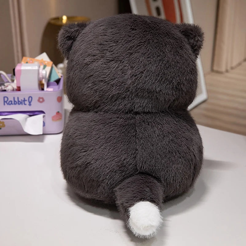 Cute Chubby Gray Ginger Cat Plushies - Image 12