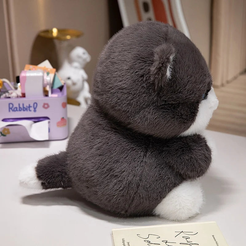 Cute Chubby Gray Ginger Cat Plushies - Image 11