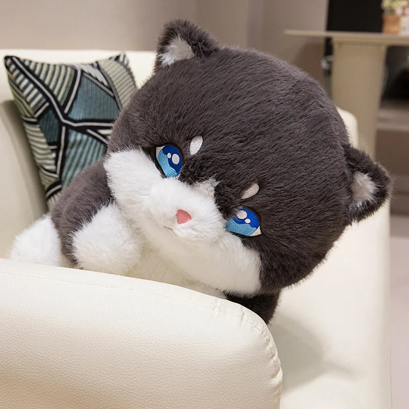 Cute Chubby Gray Ginger Cat Plushies - Image 10