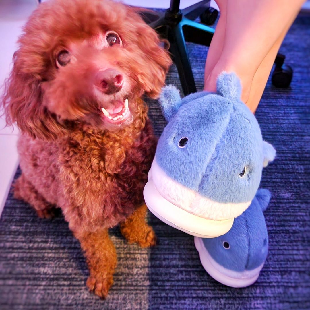 Cute Shark Plush Slippers - Image 10