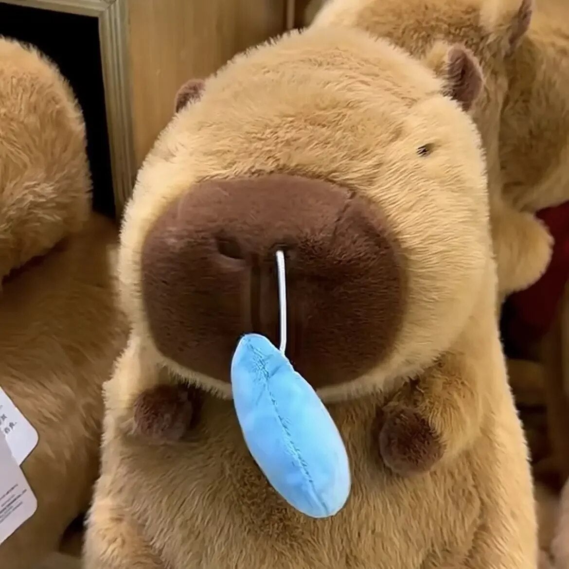 Cute Snotty Capybara Runny Nose Plushie - Image 5
