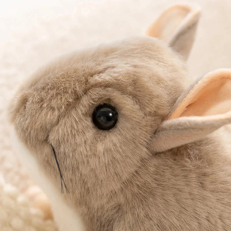 Didi the Kawaii Chinchilla Plushie - Image 3