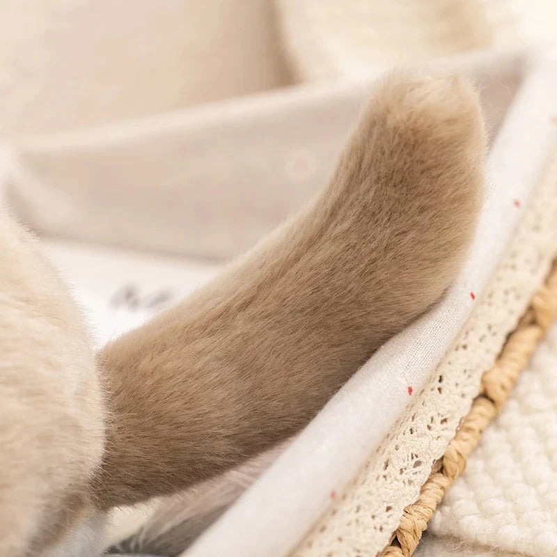 Didi the Kawaii Chinchilla Plushie - Image 12