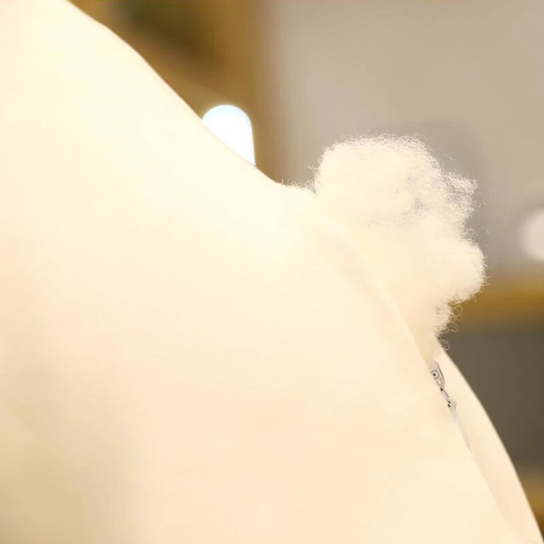 Fred the Super Puffy Seagull - Image 8