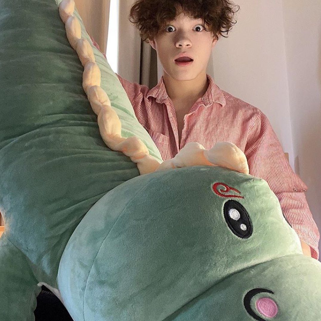 Haku The Dinosaur Plushie - Image 4