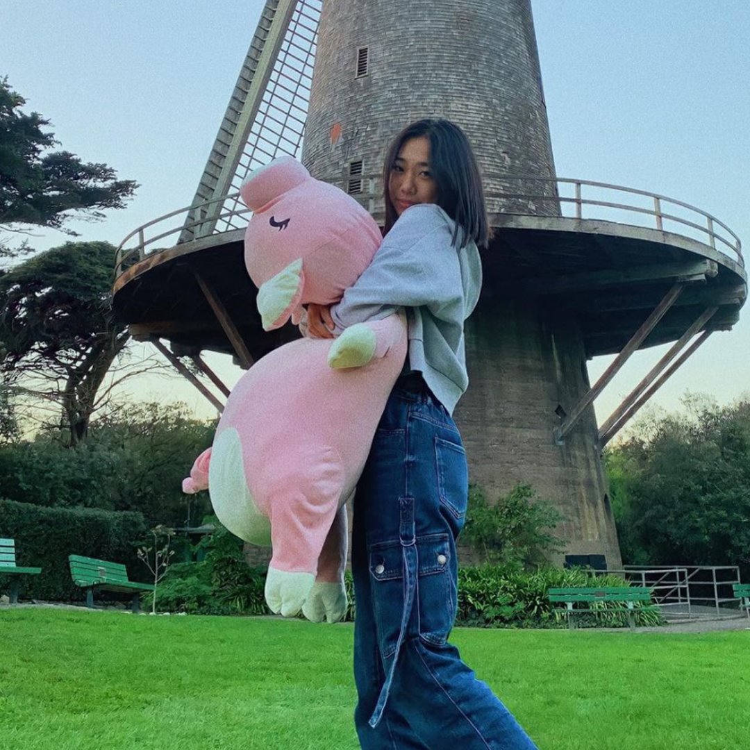 Jeju The Piggy Plushie - Image 11