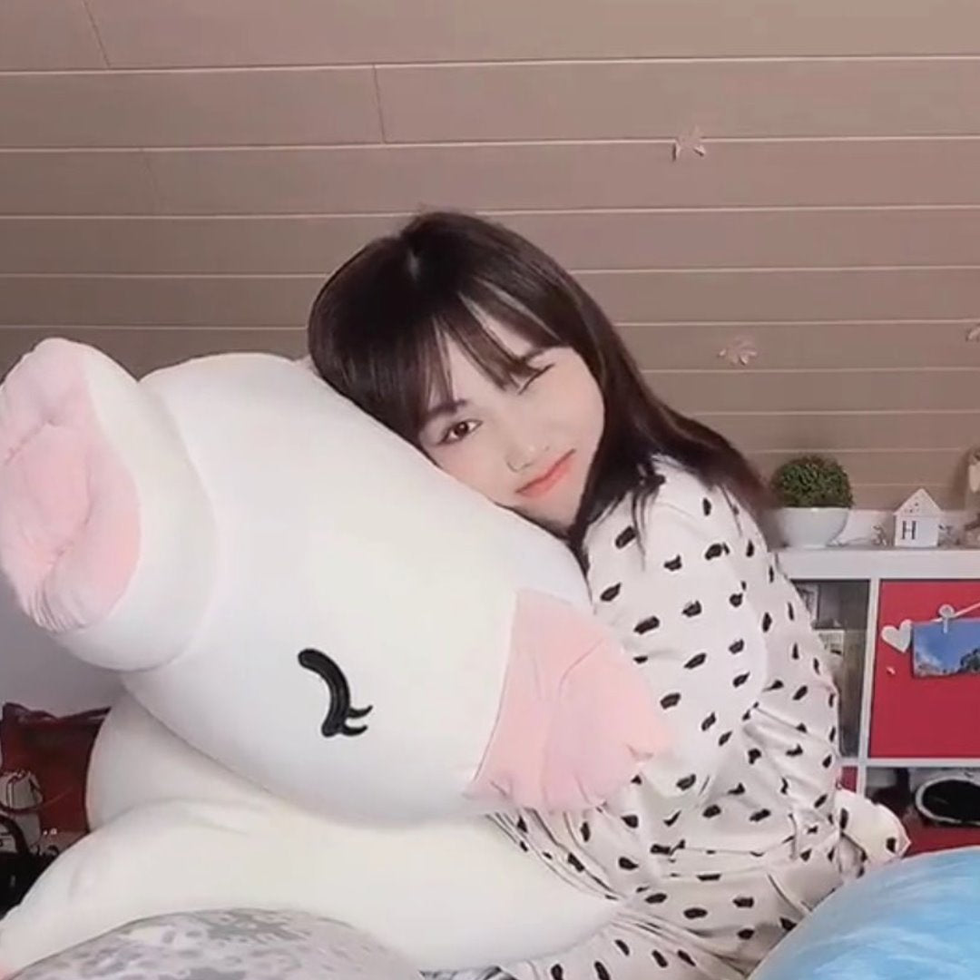 Jeju The Piggy Plushie - Image 10