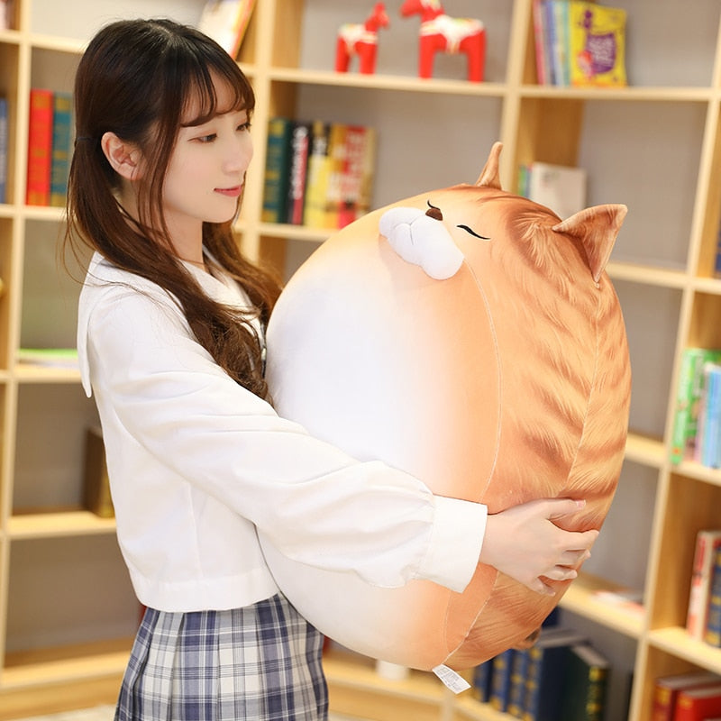Kawaii Chubby Round Cat Plush Toy - Image 4