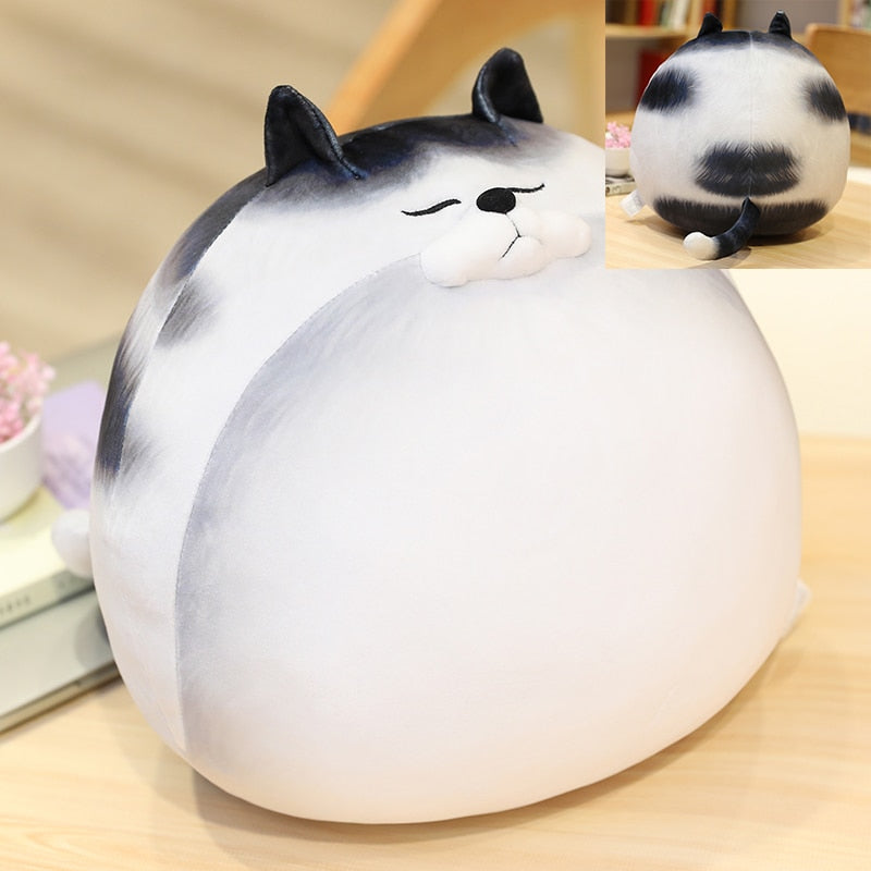 Kawaii Chubby Round Cat Plush Toy - Image 5