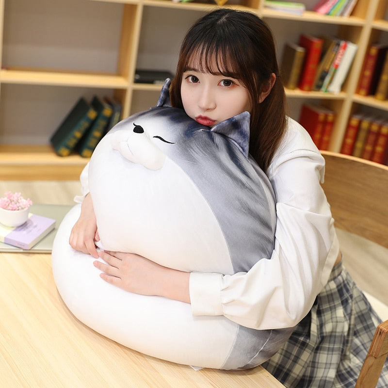 Kawaii Chubby Round Cat Plush Toy - Image 3