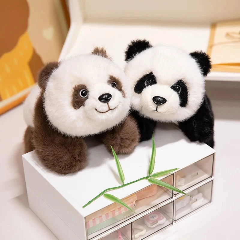 Kawaii Fuzzy Black Brown Panda Plushies - Image 2
