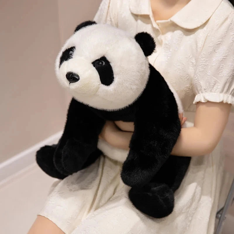 Kawaii Fuzzy Black Brown Panda Plushies - Image 6