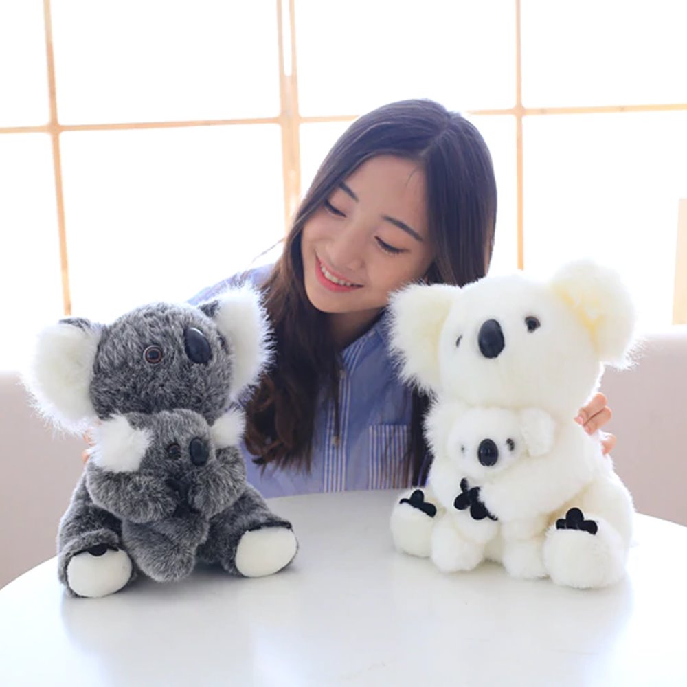 Koala Bear Family - Image 14