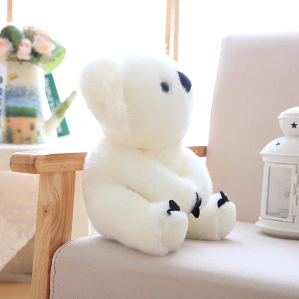 Koala Bear Family - Image 5