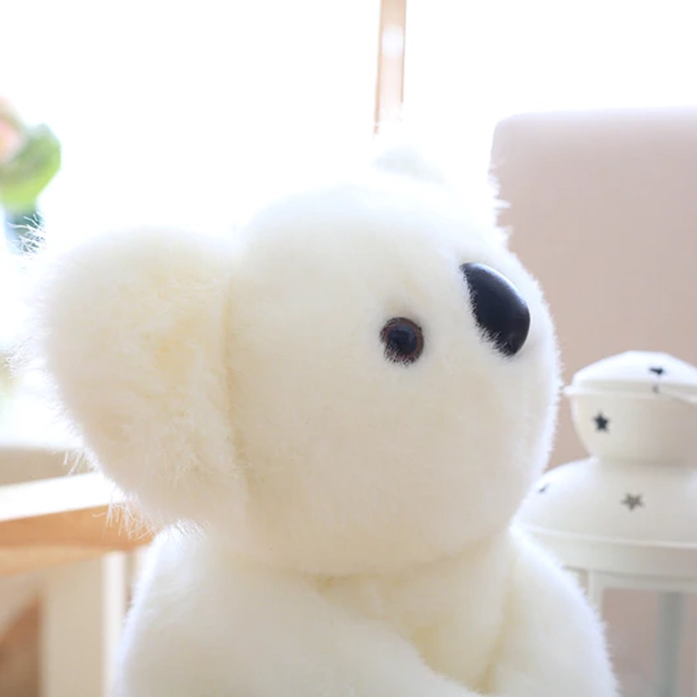 Koala Bear Family - Image 13