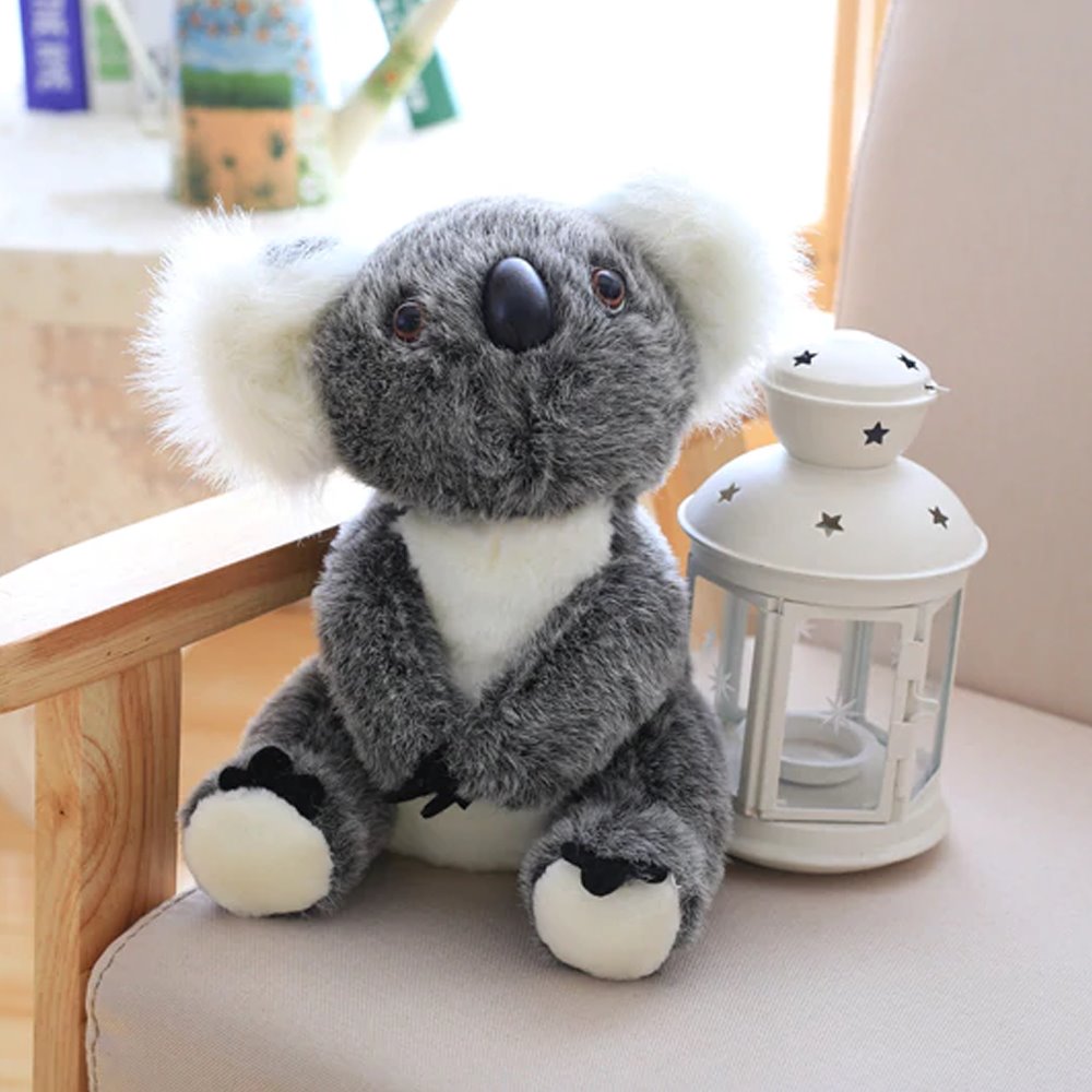 Koala Bear Family - Image 9