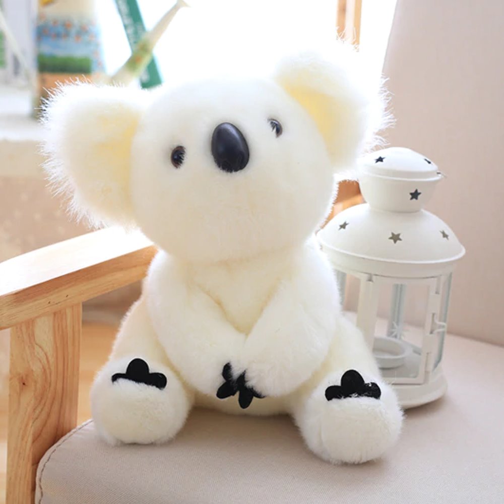 Koala Bear Family - Image 8