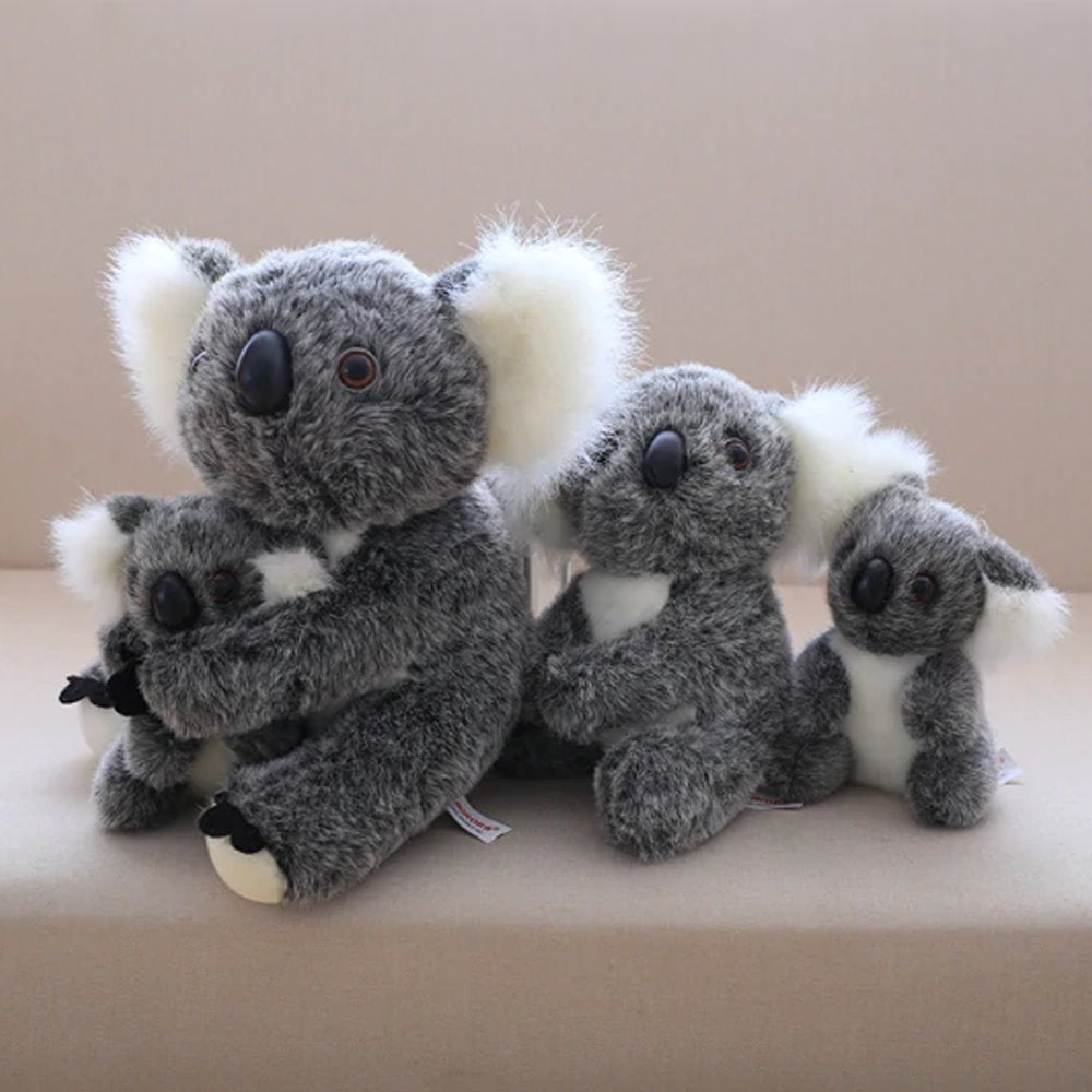 Koala Bear Family - Image 7
