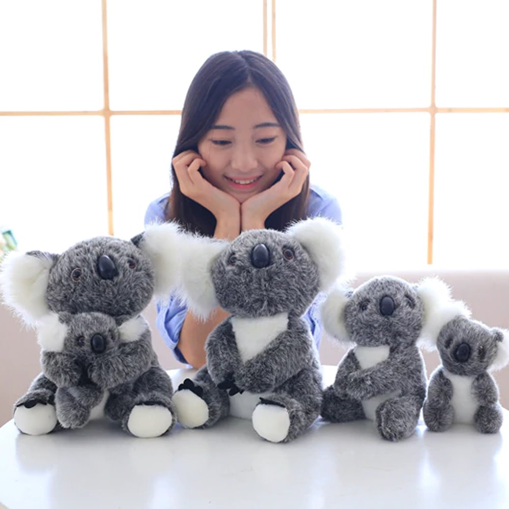 Koala Bear Family - Image 15