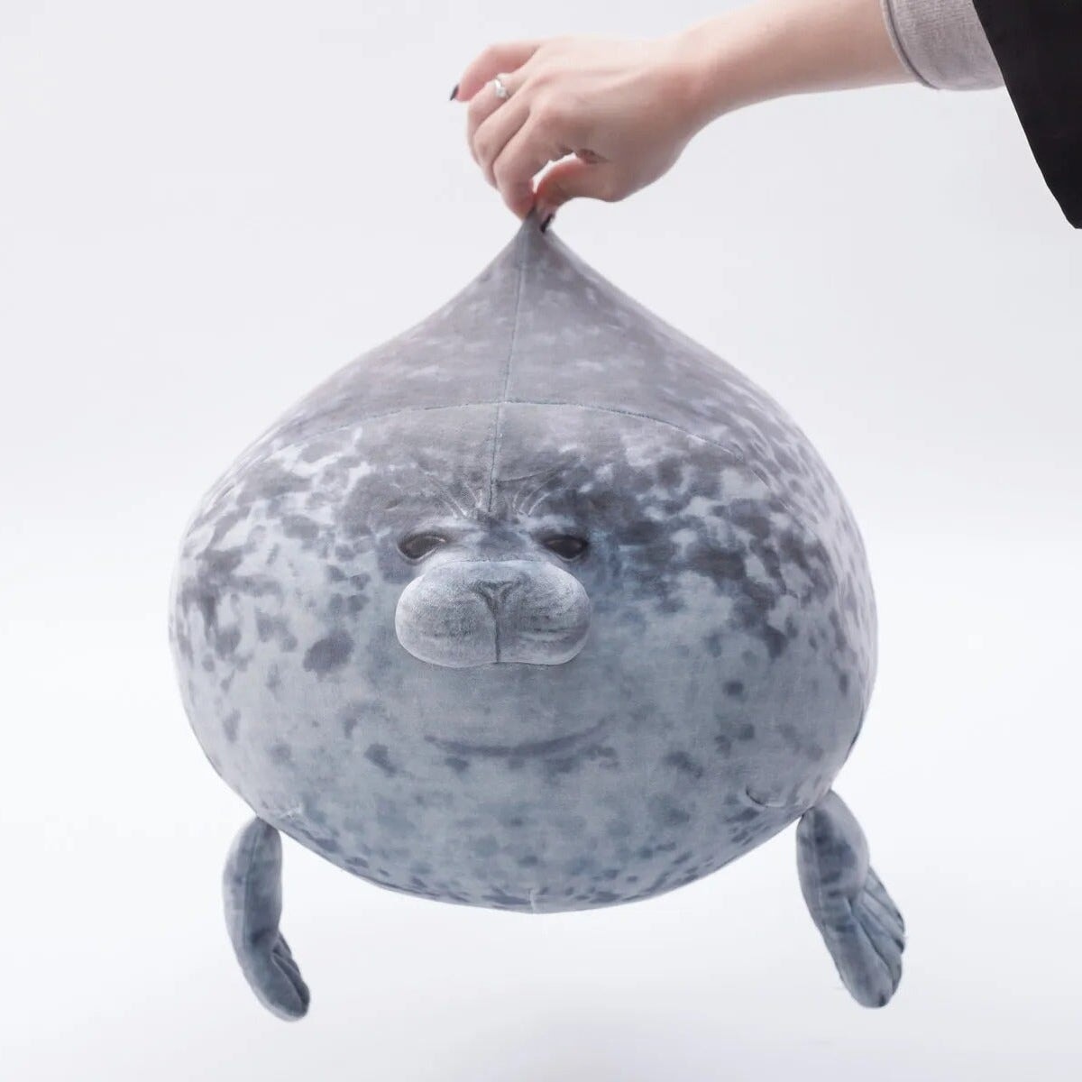 Lazy Chubby Seal - Image 12