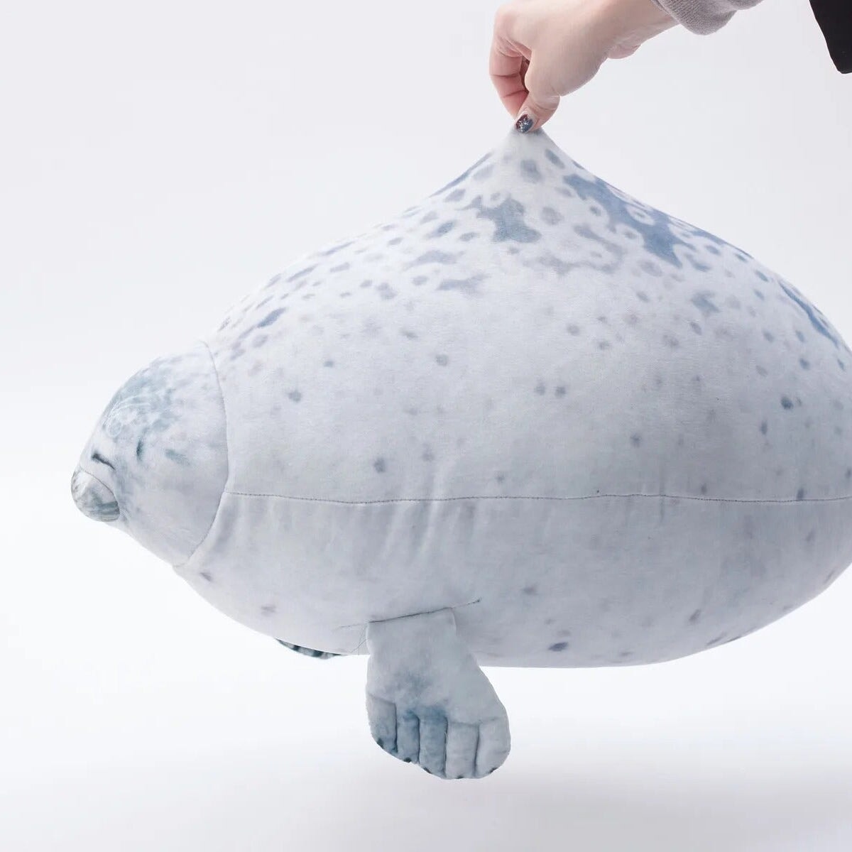 Lazy Chubby Seal - Image 11
