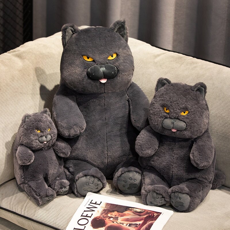 Poe the Grumpy Cat Plushie - Image 5