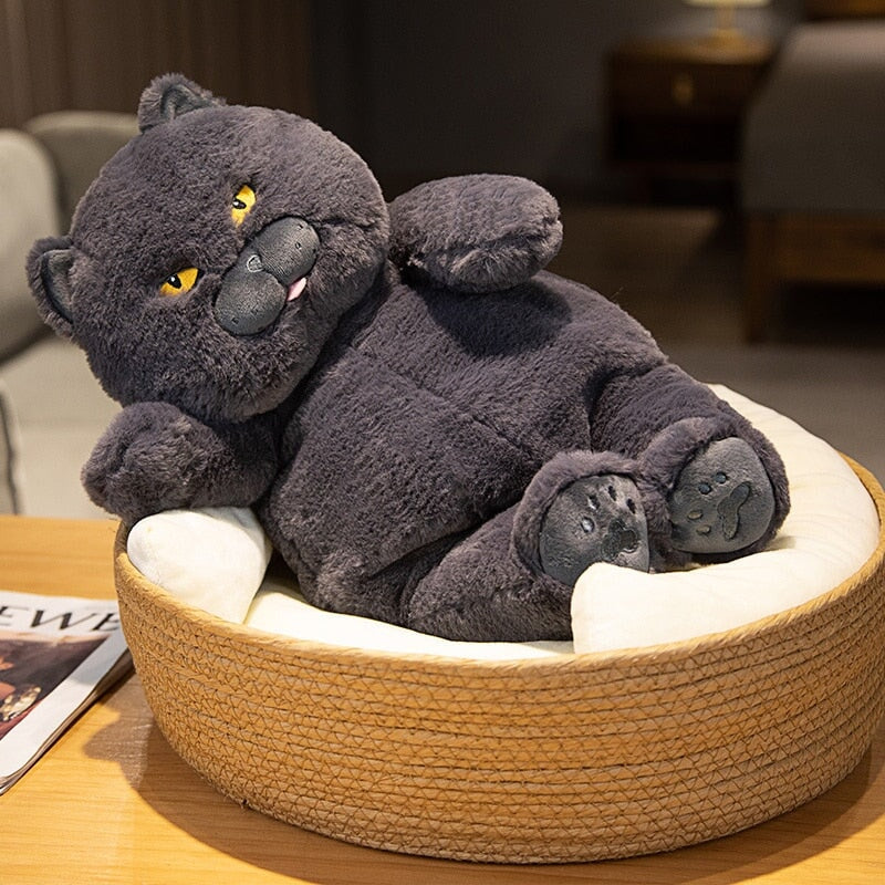 Poe the Grumpy Cat Plushie - Image 3