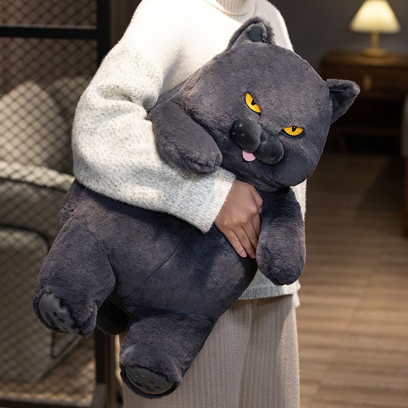 Poe the Grumpy Cat Plushie - Image 2