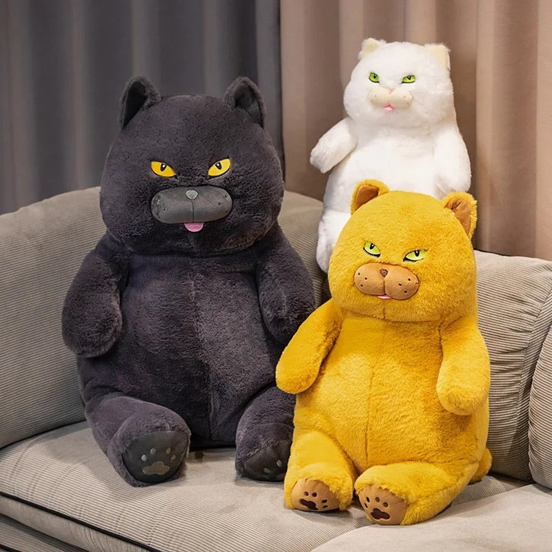 Poe the Grumpy Cat Plushie - Image 13