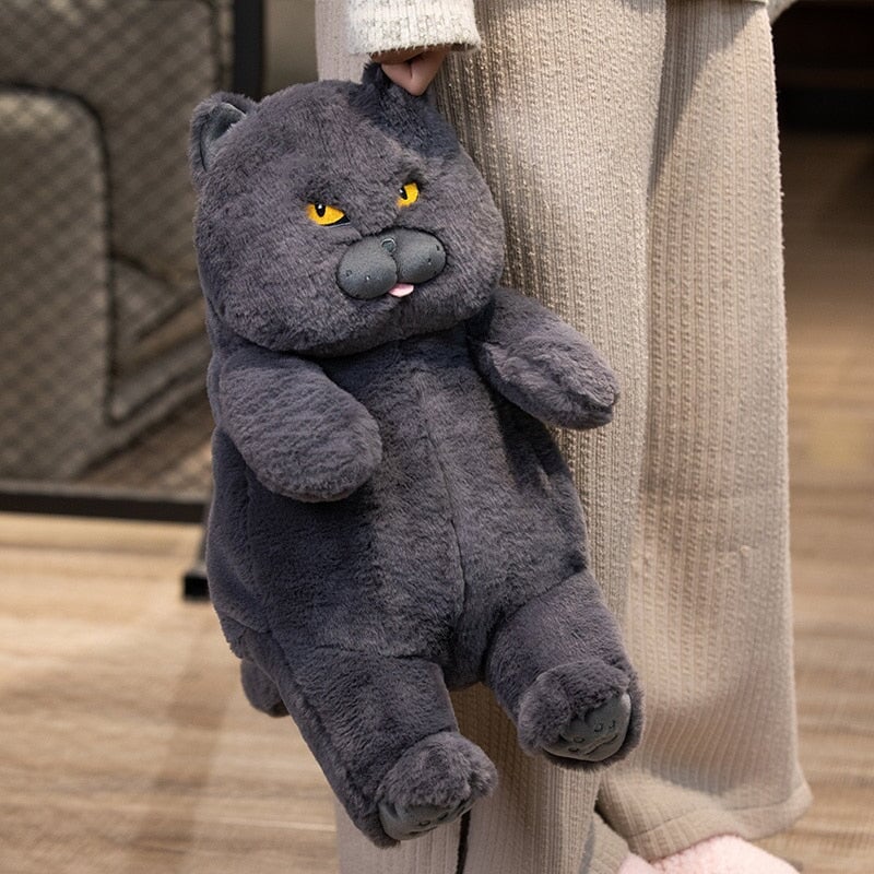 Poe the Grumpy Cat Plushie - Image 12