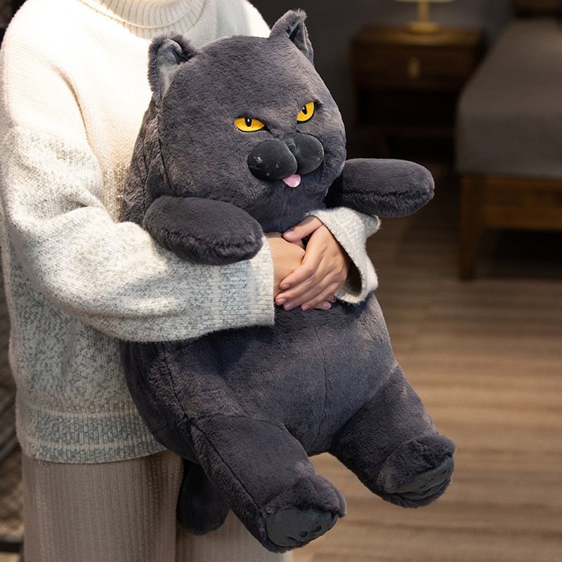 Poe the Grumpy Cat Plushie - Image 10
