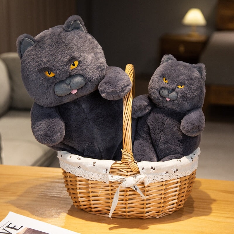 Poe the Grumpy Cat Plushie - Image 9