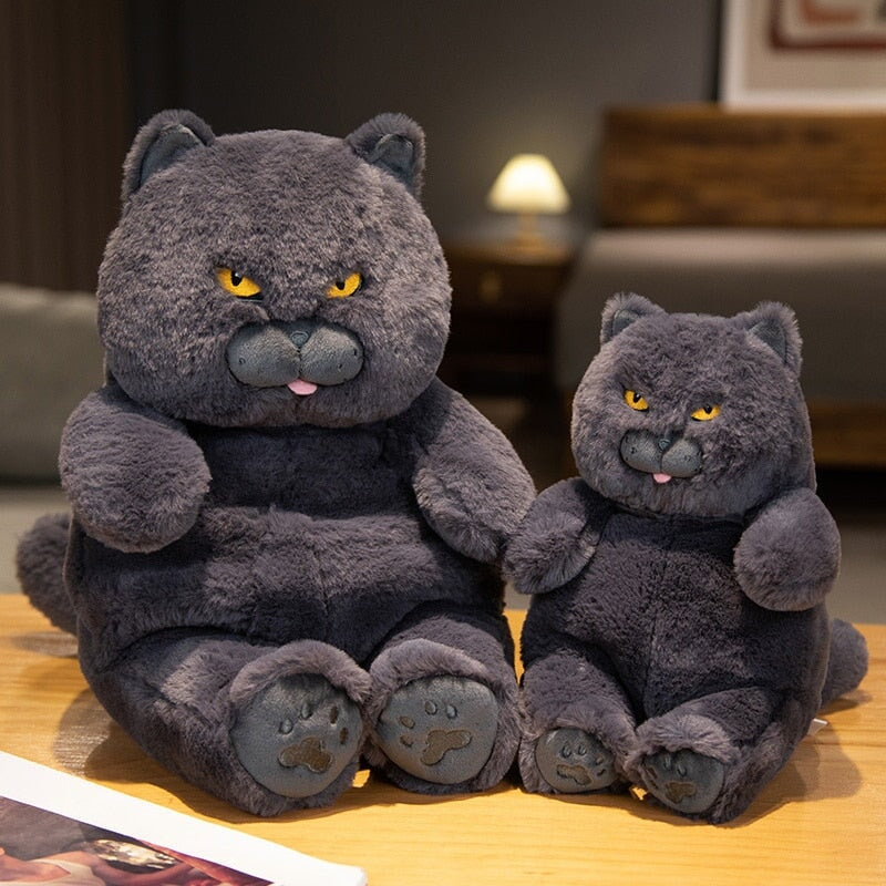 Poe the Grumpy Cat Plushie - Image 7