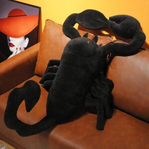Sage the Scorpion