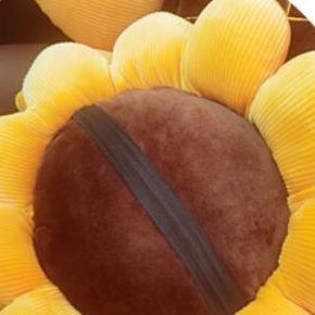 Sunny Sunflower Cushion - Image 9