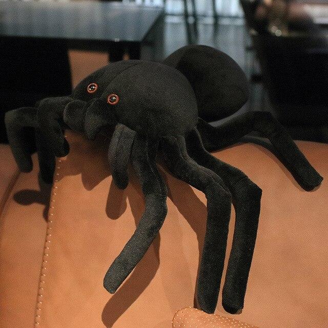 Terry the Tarantula - Image 4