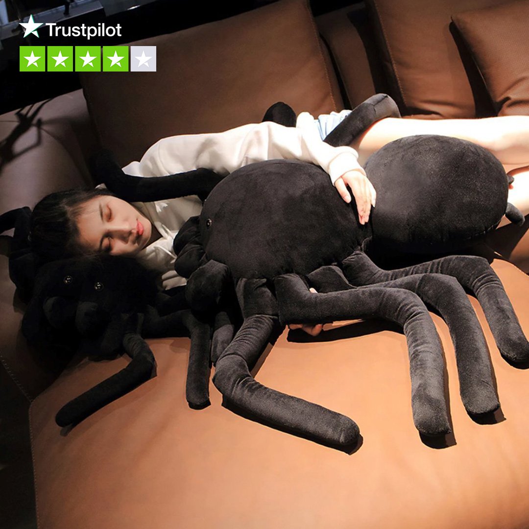 Terry the Tarantula - Image 3