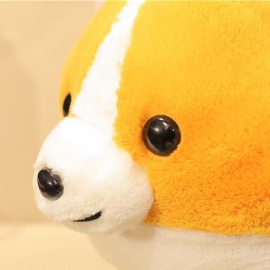 The Queens Corgis - Image 13
