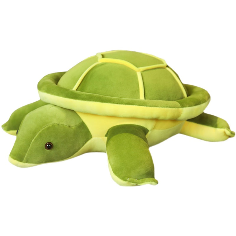 Turtle Plush Toy - Image 6