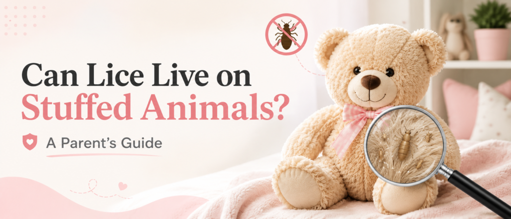 Can lice live on stuffed animals? Parent guide to safely cleaning and caring for plush toys after lice exposure